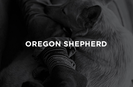 Oregon Shepherd