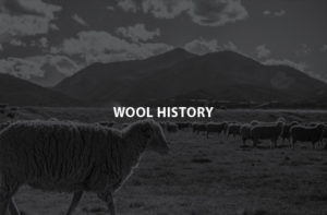Wool History Thumbnail