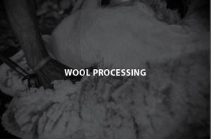 Wool Processing Thumbnail