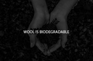 BIODEGRADABLE 1